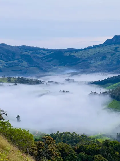 A serene view of the fog-filled valleys of Munnar, showcasing the region's natural beauty.