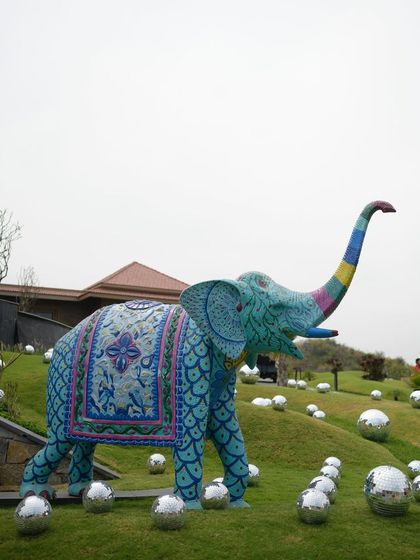 Vibrant Haldi & Mehendi Celebrations photo 77