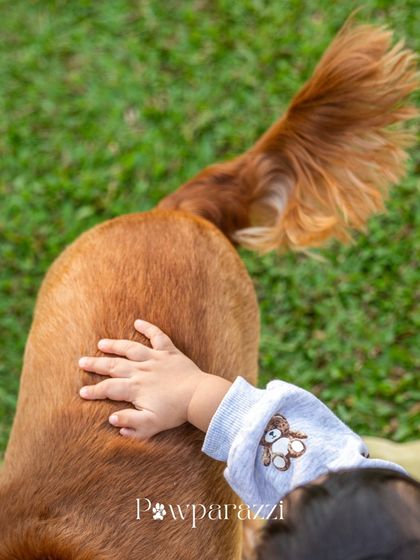 Pawparazzi By Prathima - Maternity & Newborn Photography with Pets Kids & Pups: Partners in Crime photo 24