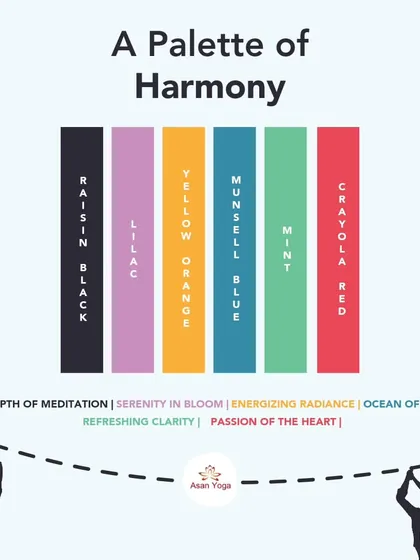 A look at our new brand color palette, "A Palette of Harmony," with each color representing a core value of our practice, from meditation to passion.