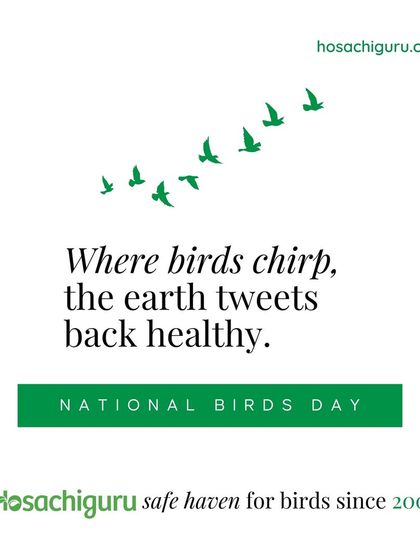 Where birds chirp, the earth tweets back healthy. On National Birds Day, we celebrate our feathered friends who are vital indicators of our farms' ecological health.