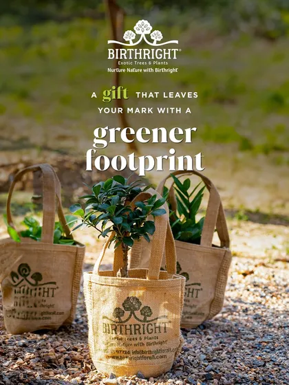 Gifting green is about making a positive mark. That's why I ensure my packaging is as thoughtful as the plant itself, using sustainable materials like these branded jute bags that are both beautiful and kind to our planet.
