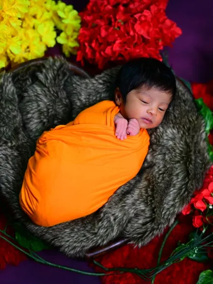 A cozy newborn portrait. The baby is wrapped in a warm orange swaddle, nestled in a furry, heart-shaped basket surrounded by colorful flowers.