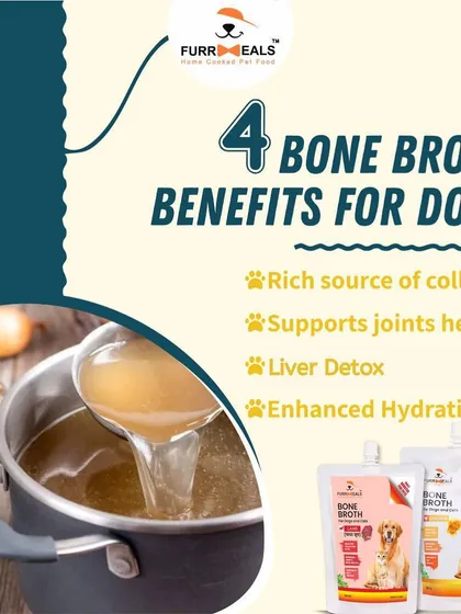 These images are part of series showing happy dogs and the bone broth product, reinforcing its benefits and appeal.