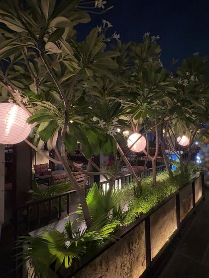 The breezy rooftop at Limitless in Vasant Kunj, with beautiful lanterns and greenery, creates a perfect evening vibe.