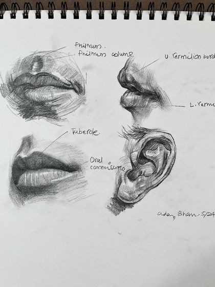 Another page from my sketchbook, with anatomical studies of the mouth and ear. The notes indicate the different parts, making it a useful study guide.