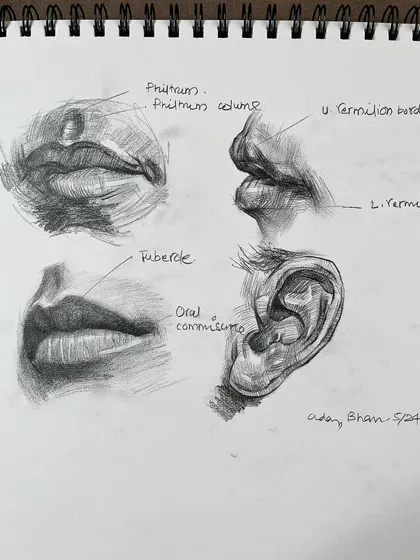 A clean shot of the sketchbook studies, perfect for seeing the details of the shading.