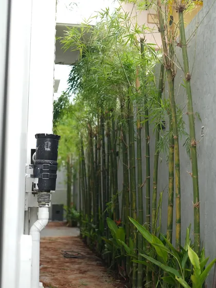 A narrow corridor is turned into a green escape with a dense planting of bamboo, which also cleverly conceals plumbing and utilities.