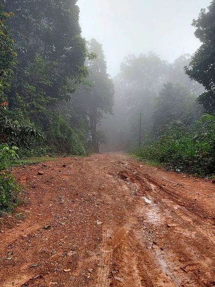The muddy, adventurous trail through a foggy forest, typical of our offbeat monsoon treks.
