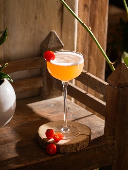 Artisanal Cocktails & Bar Photography photo 35