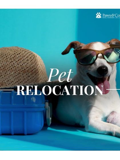 PawsnCollars - Veterinary Care Seamless Pet Relocation, Worldwide photo 18