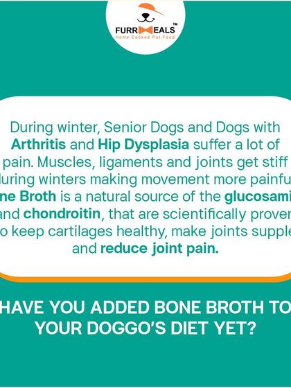 Why is bone broth essential for a winter diet? It's a natural source of glucosamine and chondroitin, which are scientifically proven to keep cartilage healthy, make joints supple, and reduce pain, especially for senior dogs.