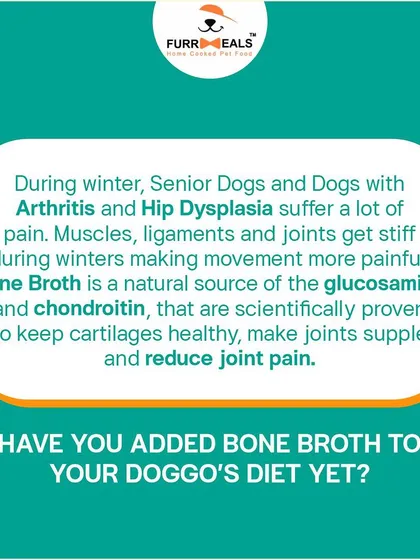 These images are part of series showing happy dogs and the bone broth product, reinforcing its benefits and appeal.