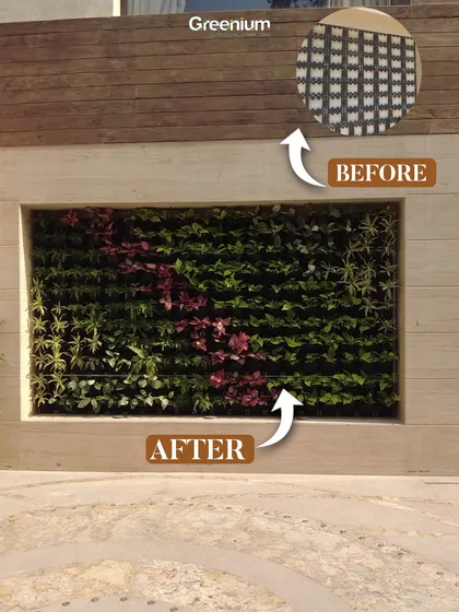 A before and after look at how a vertical garden can fill an empty wall niche. We designed a custom-fit green wall with pops of red foliage to add color and life to this outdoor area.