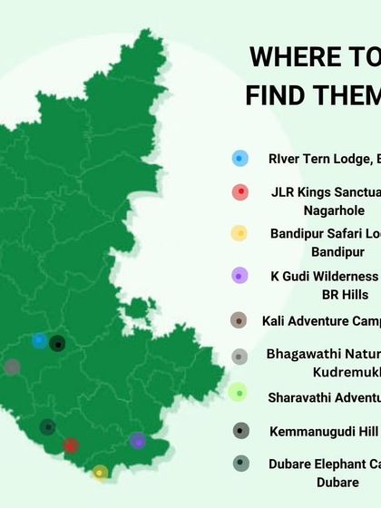 Did you know the Malabar Giant Squirrel can be found in these locations? I can help you plan a trip to places like the River Tern Lodge or Sharavathi Adventure Camp to spot these colorful giants.