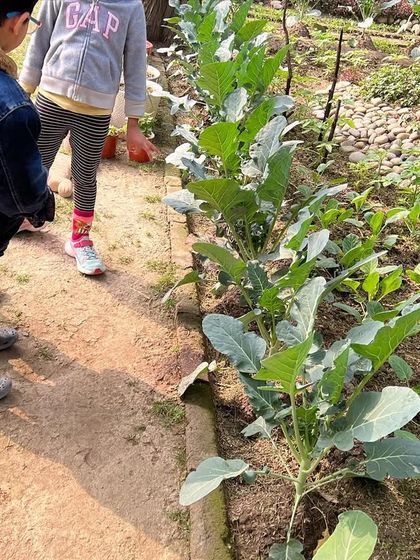 Fun-Filled Holiday Camps photo 24