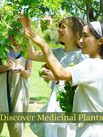 Students in our Ayurveda course discover medicinal plants in our sacred forest. This hands-on learning connects the ancient texts to the living wisdom of nature.