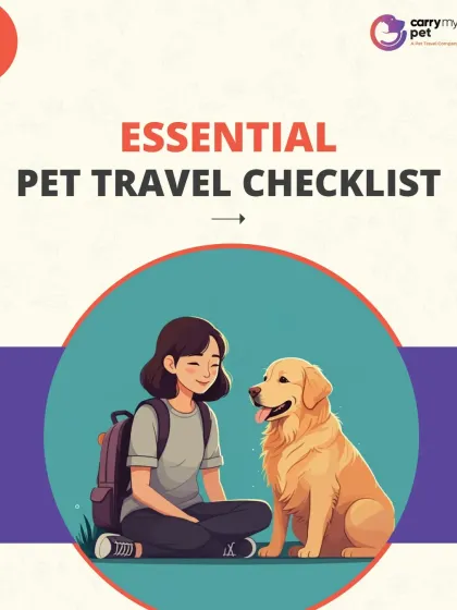 A successful trip starts with a solid plan. This is our essential pet travel checklist, covering everything from documents and travel gear to health kits. We use this as a foundation to ensure no detail is overlooked for your pet's journey.