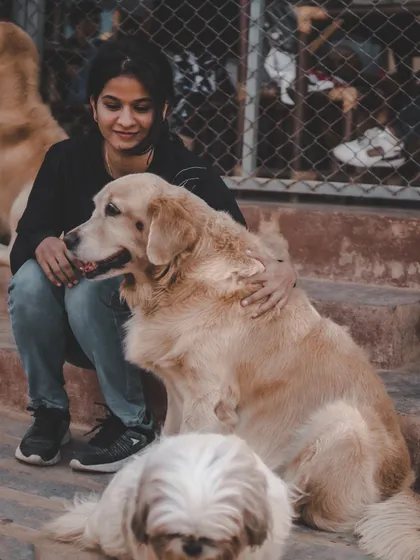 A visitor wraps her arms around a big, fluffy Golden Retriever in a warm hug.