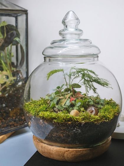 Creative Vessels: Teapots, Jars & More photo 52