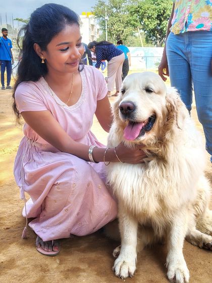 A guest kneels to pet a large, fluffy Tibetan Mastiff, one of the more unique breeds at our park.