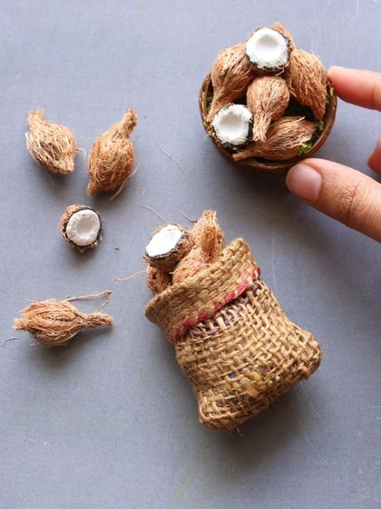 A close-up of my miniature coconuts, showing the texture of the husk.