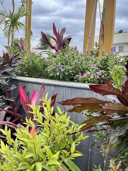 Urban & Landscape Design Studio - Landscape Architecture for Communities Sustainable Landscapes & Planting Strategy photo 4