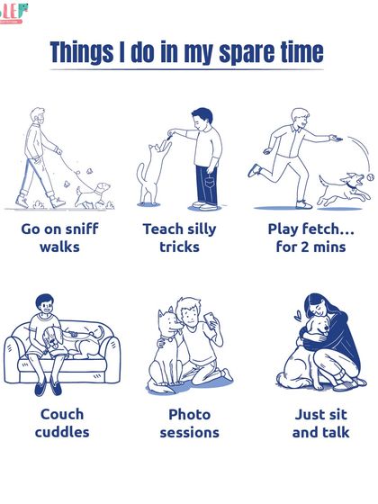 What do I do in my spare time? Go on sniff walks, teach silly tricks, play fetch for two minutes, and have plenty of couch cuddles. My free time is always dog-approved.