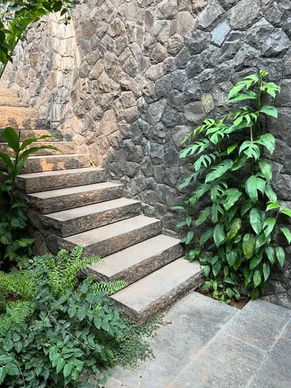 Another view of the stone staircase at our Alibaug project, where the hardscape of the steps contrasts with the soft, wild planting. The design creates a journey through a garden that feels like it is reclaiming the building.