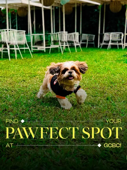 Find your pawfect spot at GCBC! With acres of green grass, your dog will have the time of its life running and playing.