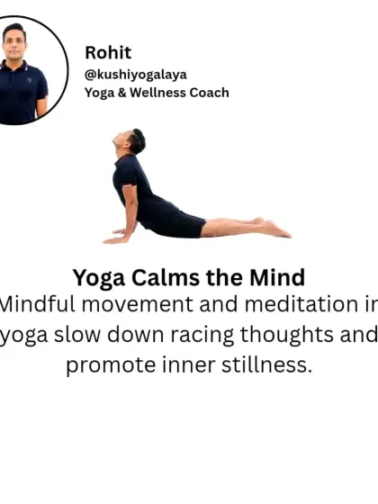 Rohit N - Yoga for Fitness and Wellness Find Calm: Yoga for Stress & Mental Wellness photo 14
