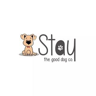 Stay Dog Day Care Center