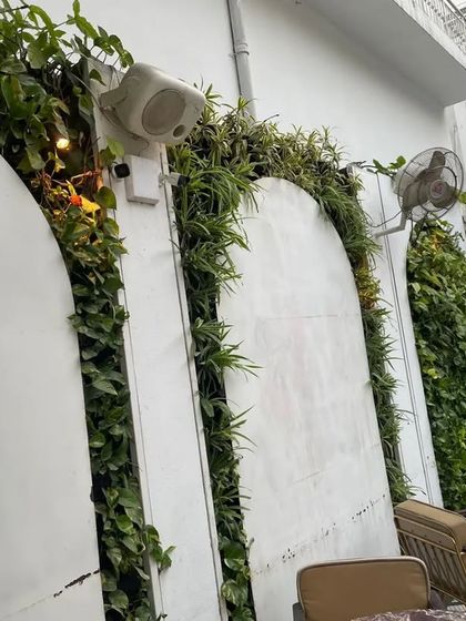 A close-up of the climbing plants and integrated lighting along the arched walls.