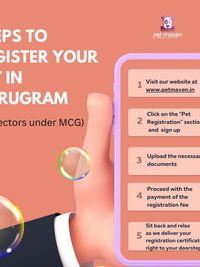 Pet Registration Service (Gurugram)