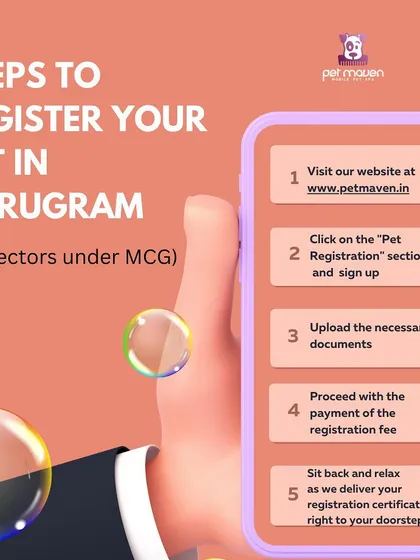 Getting your pet registered in Gurugram is now simpler than ever. This visual guide shows our easy, five-step online process that you can complete right from your phone, saving you time and effort.