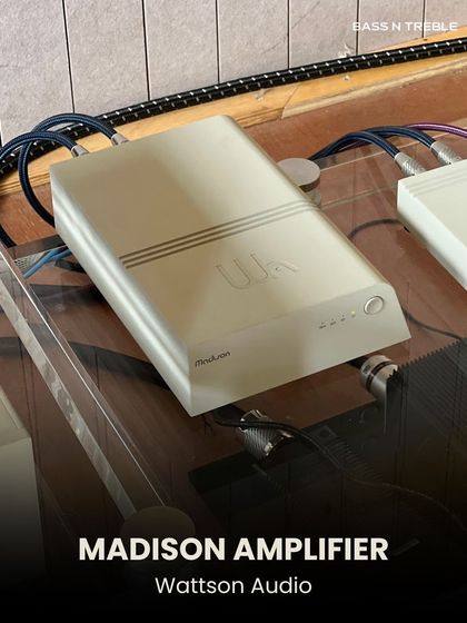 The Heart of the System: Amplifiers, DACs & Components photo 8