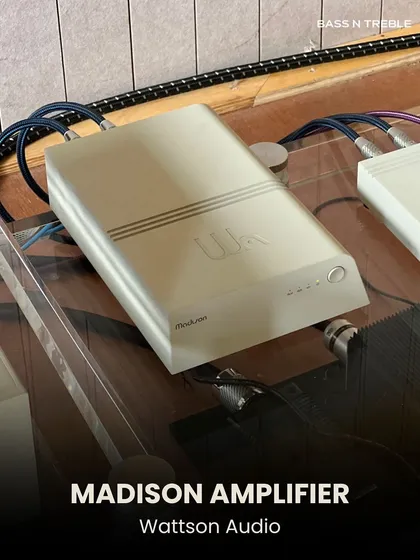 The Madison Amplifier from Wattson Audio, part of a duo that can drive surprisingly large speakers. This system proves that high-end sound doesn't always require massive components.