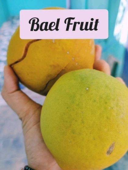 Neha Bhardwaj - Clinical Nutrition for Disease Management Food as Medicine: Know Your Ingredients photo 19