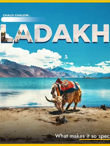 Why is Ladakh so special? This picture of a yak by the Pangong Tso lake says it all. It's a land of surreal beauty and unique culture.