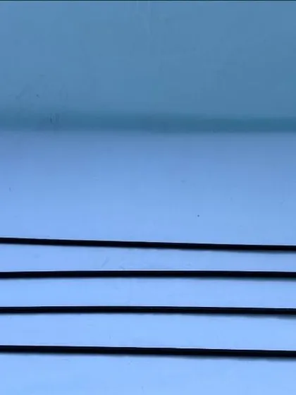 This is my heeling stick. It is not for hitting the dog. It's a lightweight visual guide used to teach a precise heeling position and maintain the dog's attention.