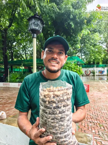A team member holds a large bag filled with collected seeds. Each seed holds the potential for a new tree, and these seed banking efforts are fundamental to our long-term restoration goals.