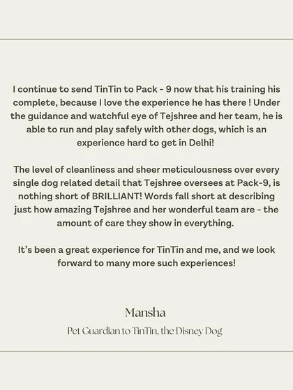 TinTin's guardian praises our facility's cleanliness and the immense care we show for every dog.