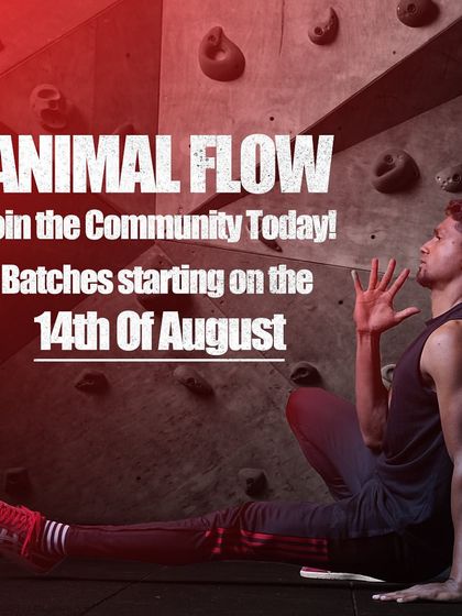 Academy of Strength - Skill-Based Fitness Workshops Master Your Movement: Animal Flow photo 58