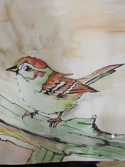 A beautiful watercolour painting of a bird. This piece shows how to combine line work with soft, blended colours to create a lifelike and delicate artwork.