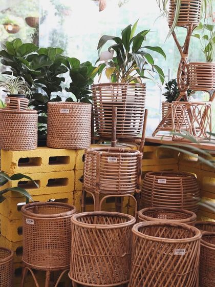 Dress Up Your Plants photo 6