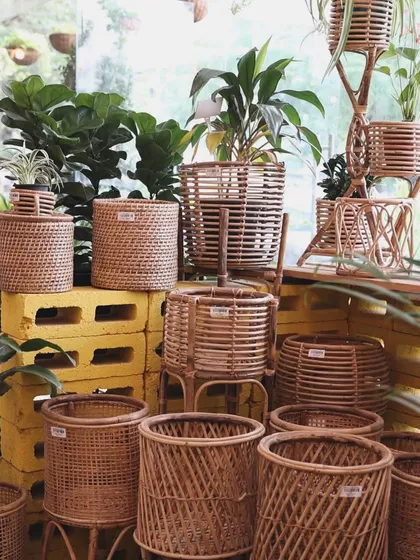 Our collection of wicker planters comes in all shapes and sizes. They are lightweight and add a warm, rustic texture to your indoor jungle.