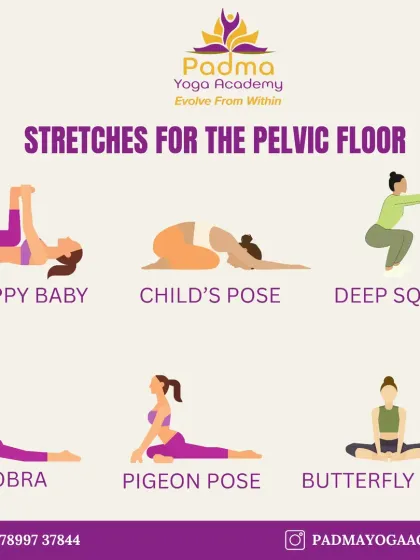 Gentle stretches for the pelvic floor, like Child's Pose and Happy Baby, help release stored stress and reconnect you with your body's center.