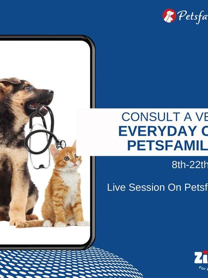 Zigly - Veterinary Services Events & Special Offers photo 12