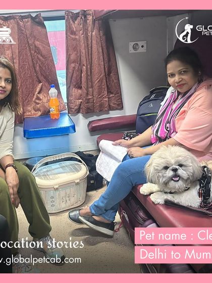 Global Pet Cab - Domestic Pet Relocation Train Travel: First-Class Coupe Journeys photo 18