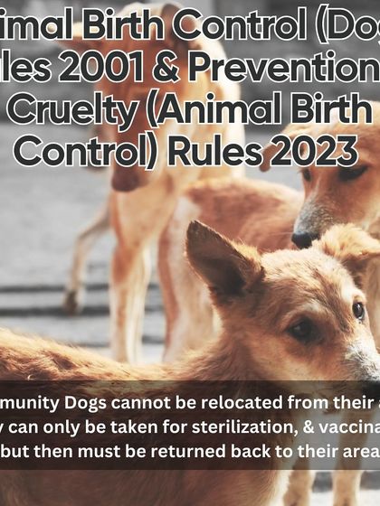 Charlie's Animal Rescue Centre - Community Outreach & Education Awareness & Advocacy photo 4